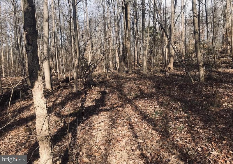 0 Van Brady Rd, Upper Marlboro, MD 20772