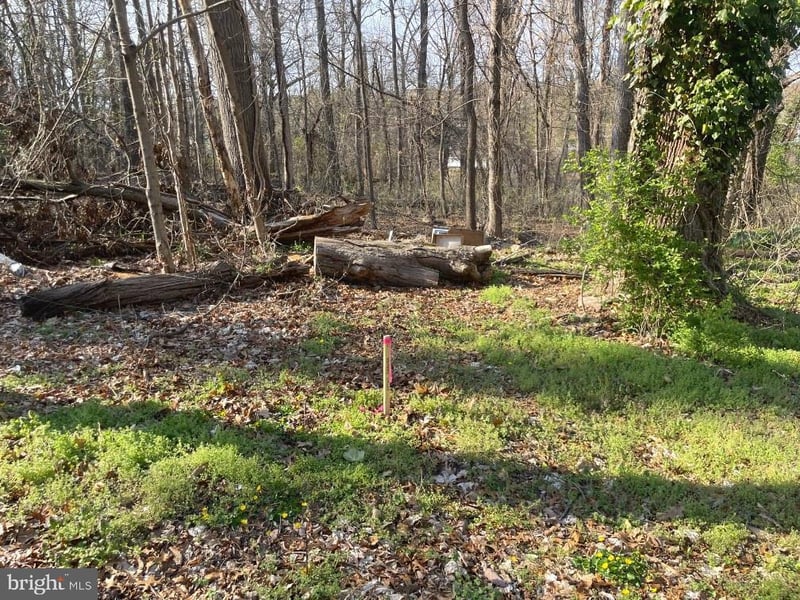 0 Riverdale Rd, Lanham, MD 20706