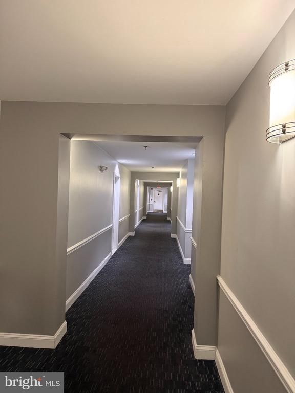 5573 Seminary Rd #114, Falls Church, VA 22041