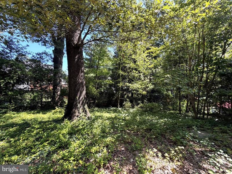 3123 Military Rd N, Arlington, VA 22207