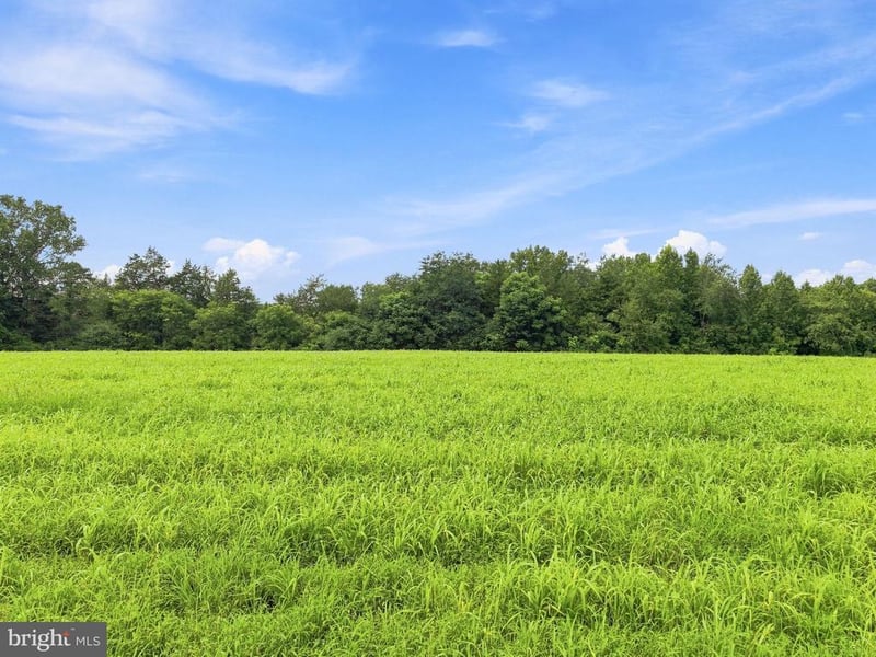 0 Grand Brooks Rd, Spotsylvania, VA 22553