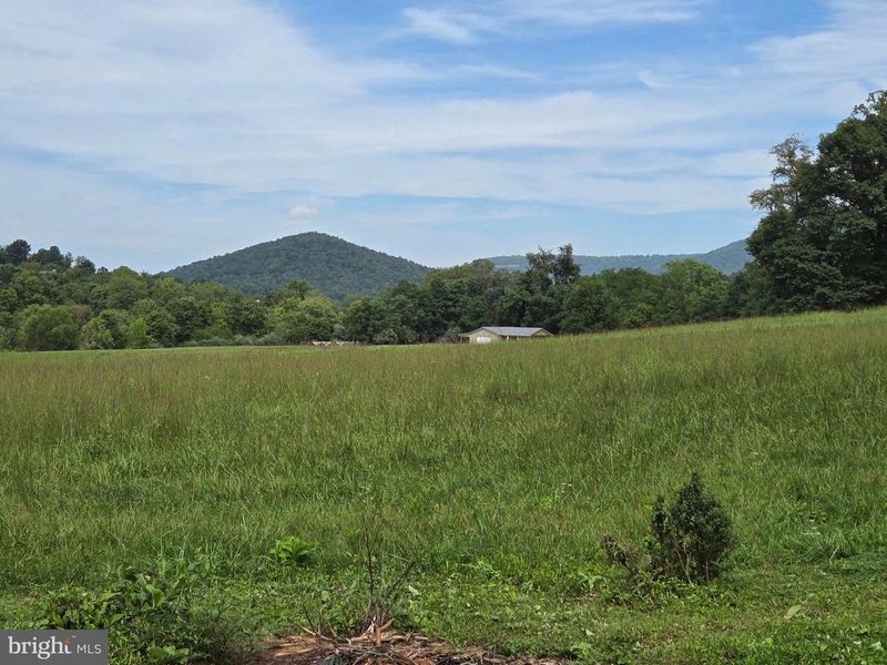 4443 Bentonville Rd, Bentonville, VA 22610