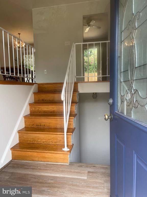 2407 Hayden Dr, Silver Spring, MD 20902