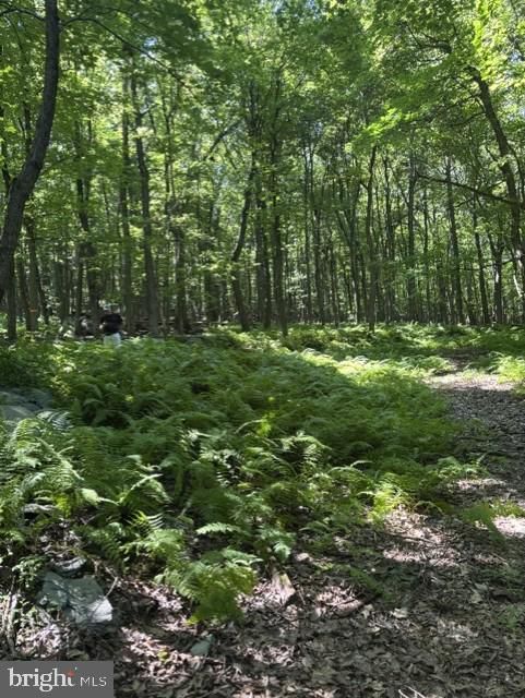 7275 Black Rd, Thurmont, MD 21788