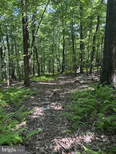7275 Black Rd, Thurmont, MD 21788