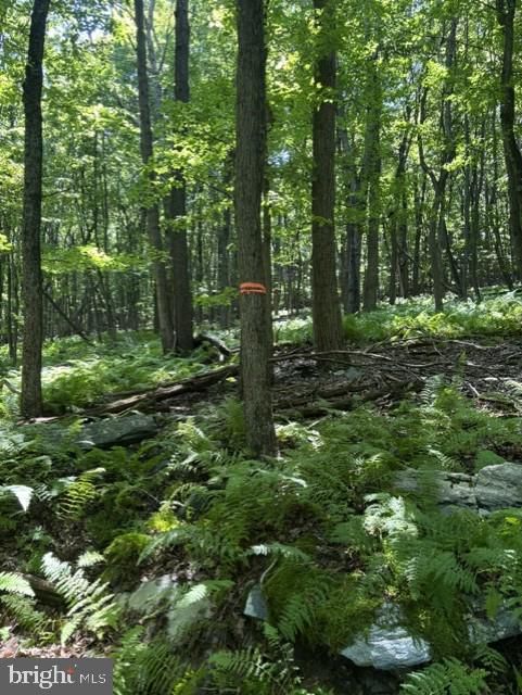 7275 Black Rd, Thurmont, MD 21788