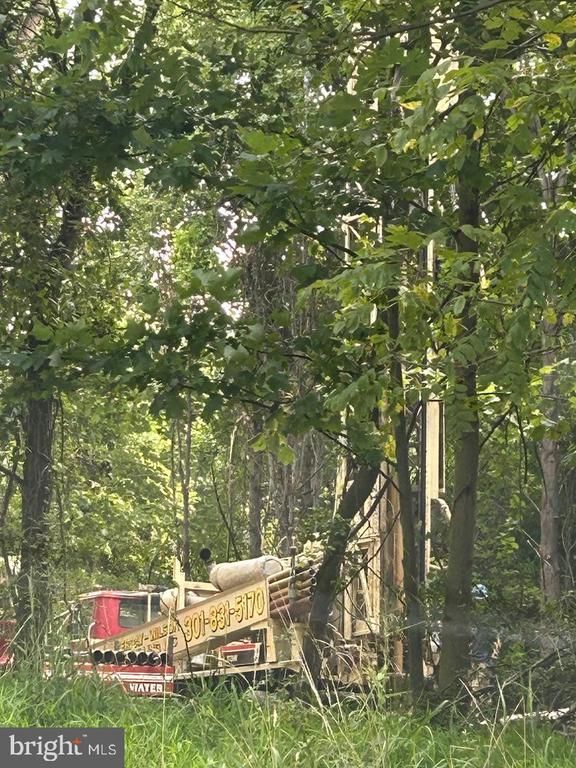 Buildable Preserv Parcel Ten Oaks Rd, Dayton, MD 21036