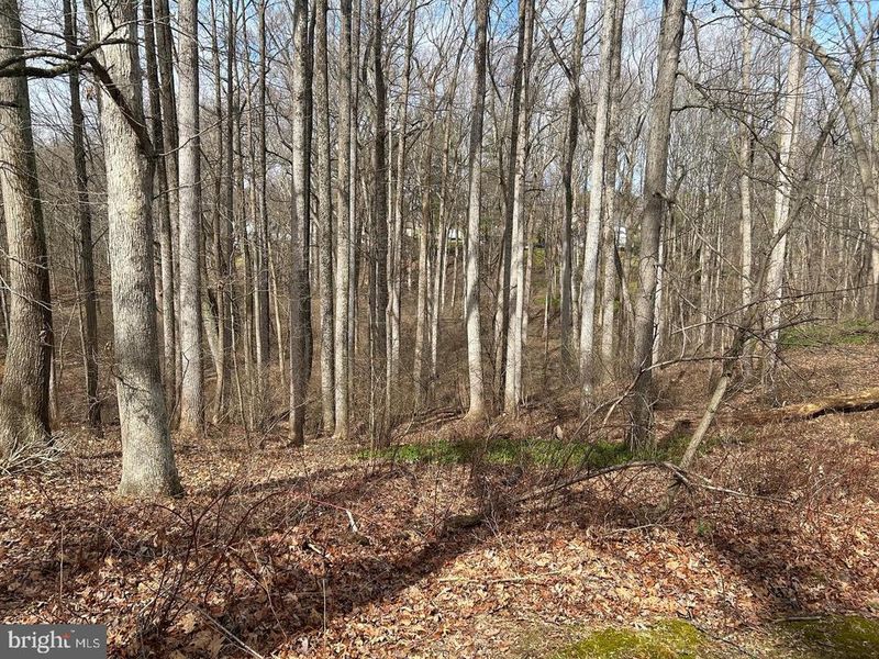 Buildable Preserv Parcel Ten Oaks Rd, Dayton, MD 21036