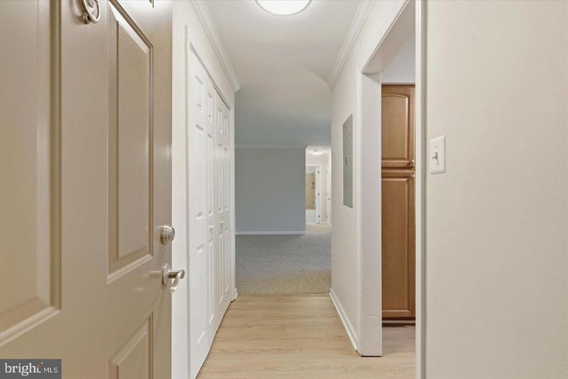 3334 Spring Ln #B-46, Falls Church, VA 22041