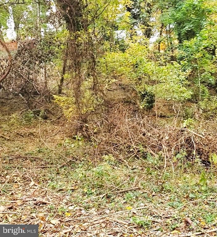 0 East D St, Brunswick, MD 21716
