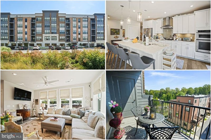 3505 Bellflower Ln #408, Rockville, MD 20852