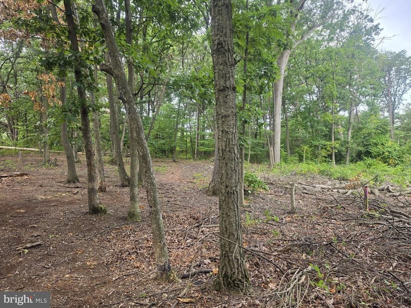 4804 66th Ave, Hyattsville, MD 20784