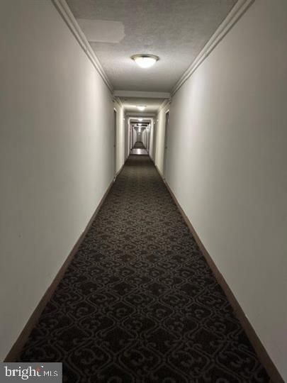6641 E Wakefield Dr #310, Alexandria, VA 22307