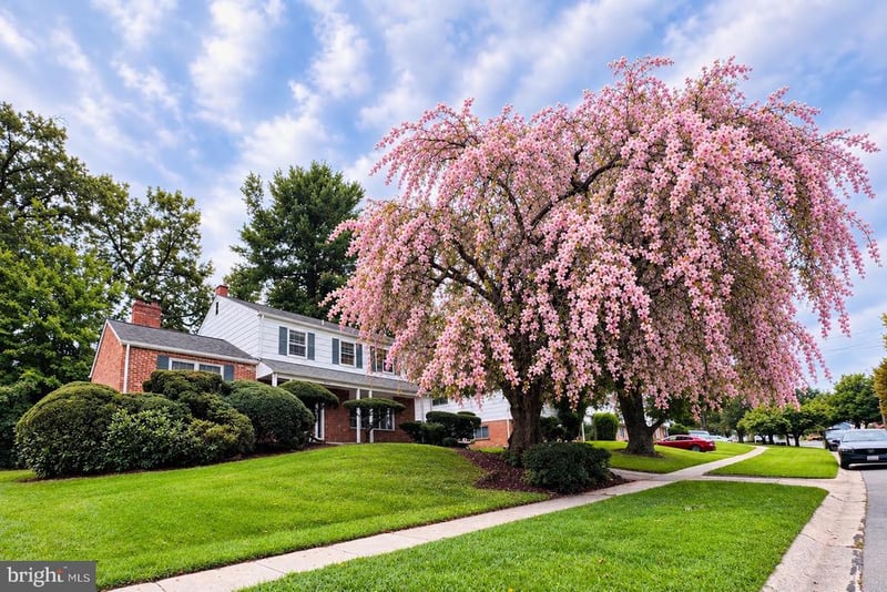 900 Lamberton Dr, Silver Spring, MD 20902