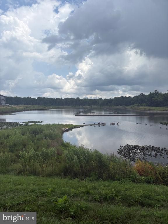 213 Lyons Creek Dr, Laurel, MD 20708
