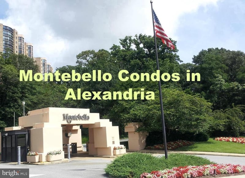5902 Mount Eagle Dr #209, Alexandria, VA 22303