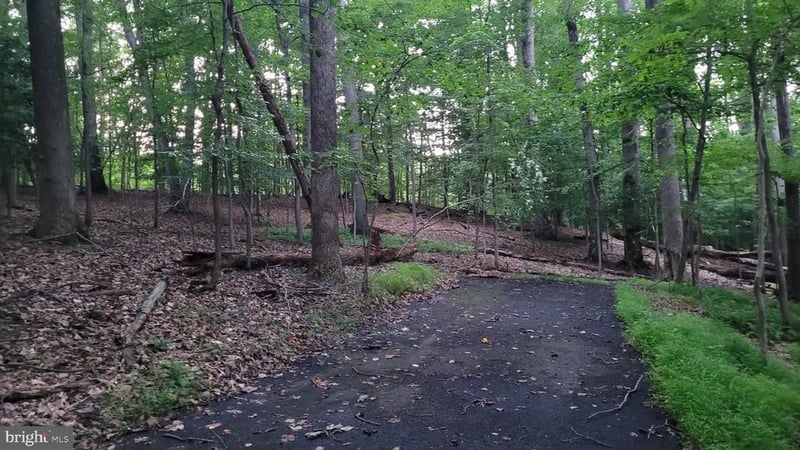 264 Golden Woods Ct, Great Falls, VA 22066