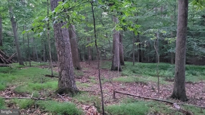 264 Golden Woods Ct, Great Falls, VA 22066