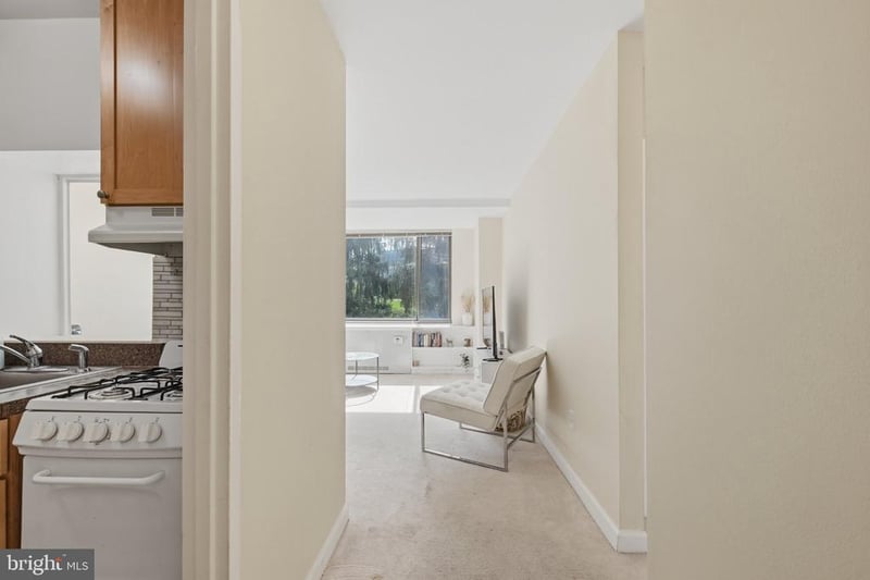 1111 Arlington Blvd #316, Arlington, VA 22209