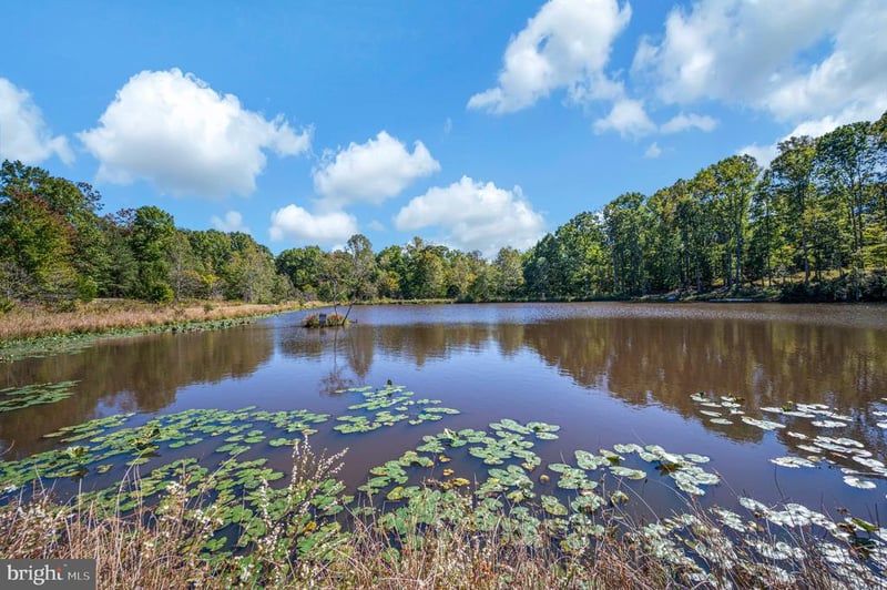 2169 Beaver Dam Rd, Midland, VA 22728