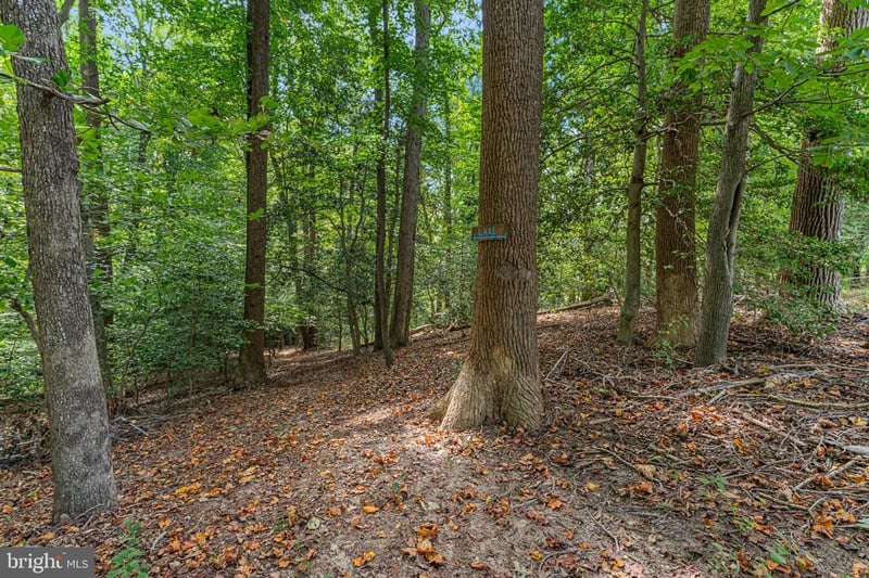 275 Castle Dr, Montross, VA 22520