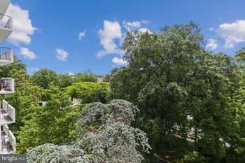 4501 Arlington Blvd #528, Arlington, VA 22203