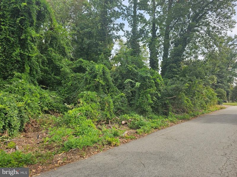 5800 River Dr, Lorton, VA 22079