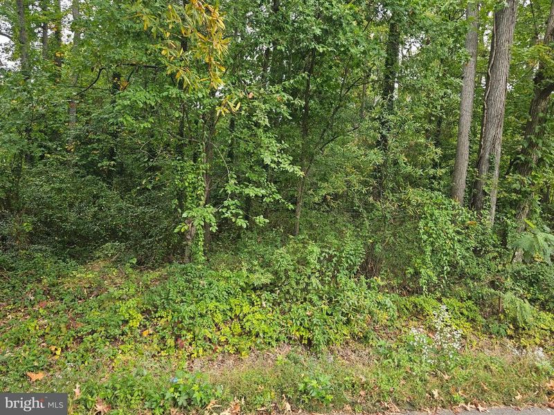 5800 River Dr, Lorton, VA 22079