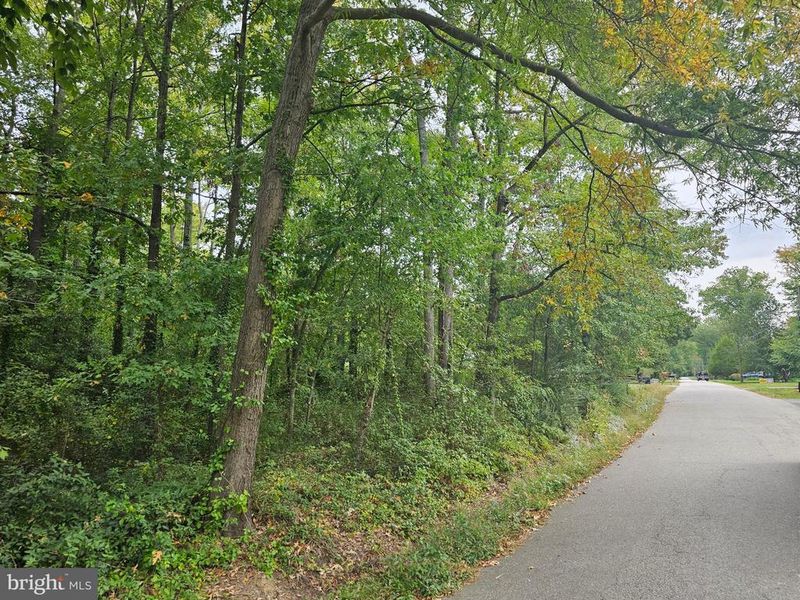 5912 Oak Grove St, Lorton, VA 22079