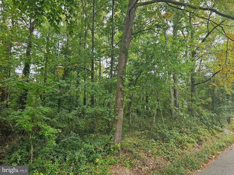 5912 Oak Grove St, Lorton, VA 22079