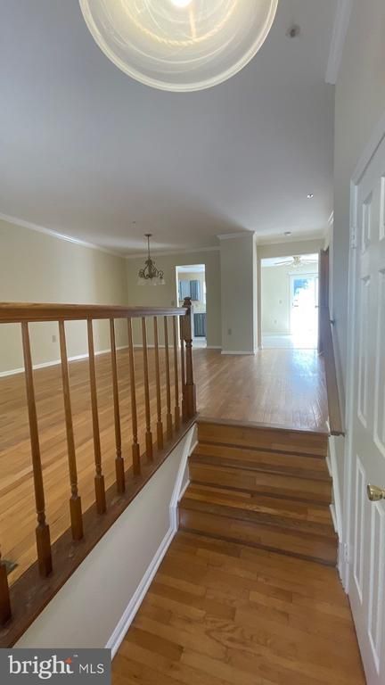 3219 Scarlet Oak Ter, Bowie, MD 20715