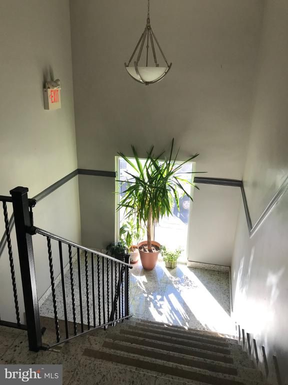 401 Commonwealth Ave #32B, Alexandria, VA 22301