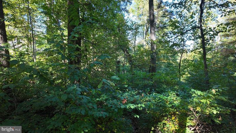 0 High Top Rd, Linden, VA 22642