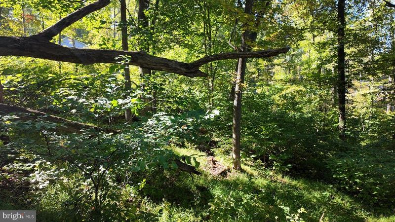 0 High Top Rd, Linden, VA 22642