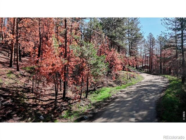 1841 Spruce Mountain Dr, Drake, CO 80515