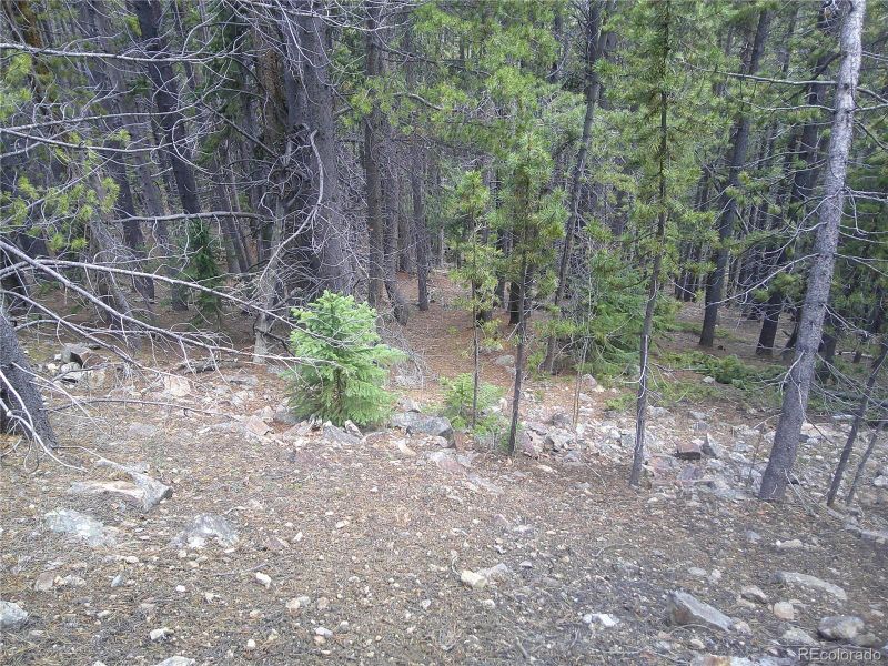 0 Hillside Rd, Idaho Springs, CO 80452