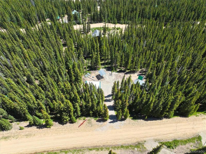 832 Prunes Pl, Fairplay, CO 80440