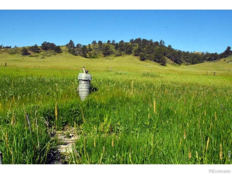 1364 Red Bluff Rd, Livermore, CO 80536
