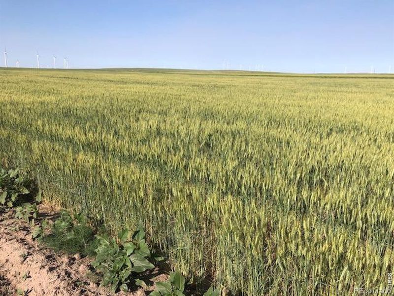 0 Cr 70, Briggsdale, CO 80611