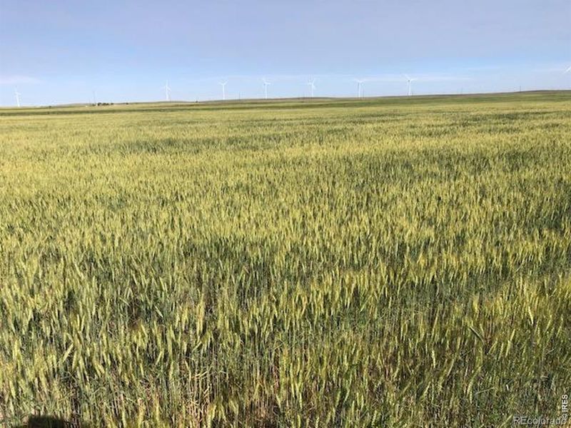 0 Cr 70, Briggsdale, CO 80611