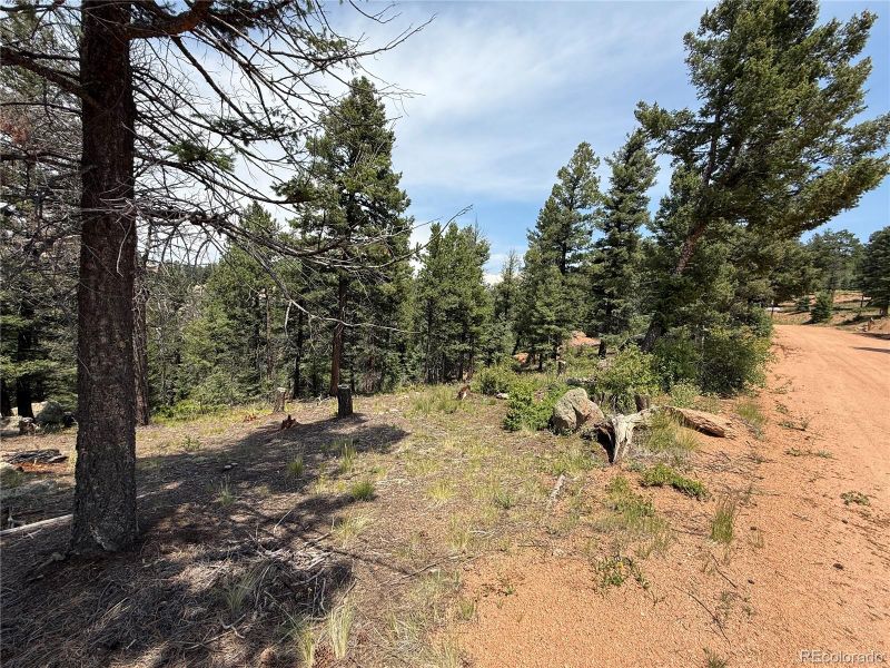 3546 N Mountain Estates Rd, Florissant, CO 80816