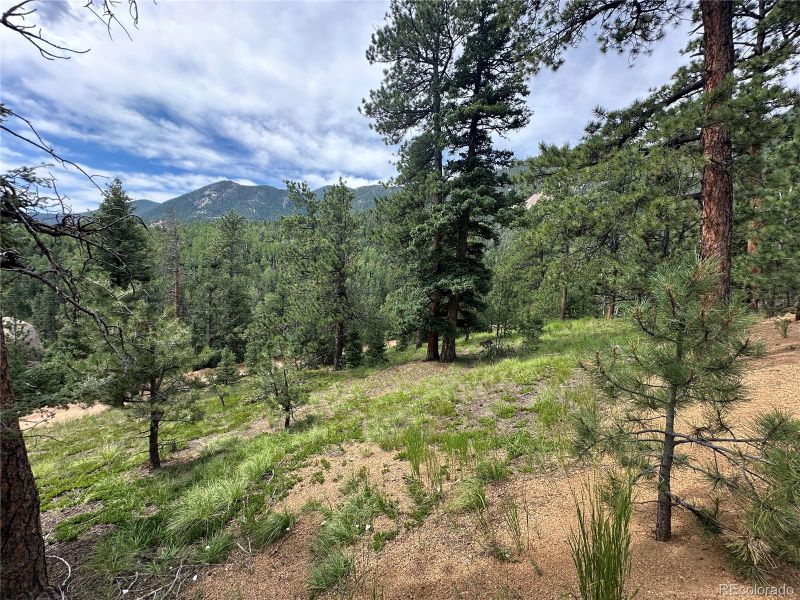 116 Happy Valley, Manitou Springs, CO 80829
