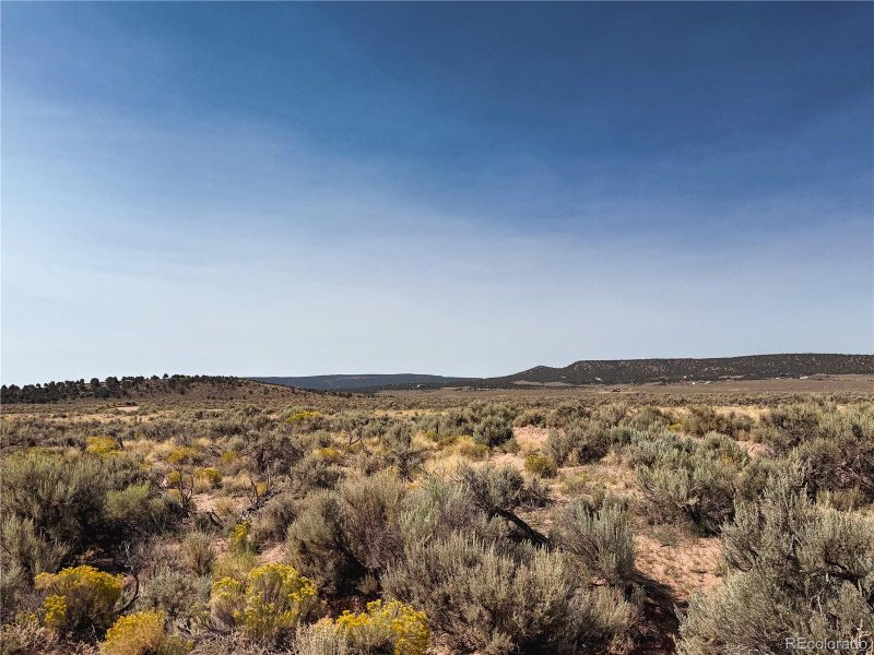 00 Slaughter Rd, Fort Garland, CO 81133