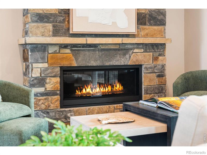 6719 Morning Song Ct, Timnath, CO 80547