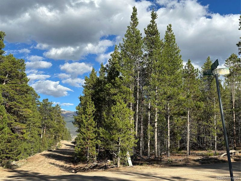 143 Fir Dr, Leadville, CO 80461