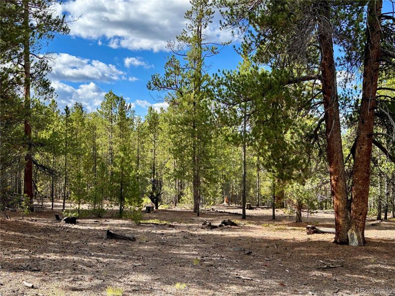 143 Fir Dr, Leadville, CO 80461