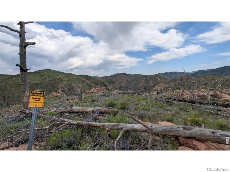 1324 Meadow Mountain Dr, Livermore, CO 80536