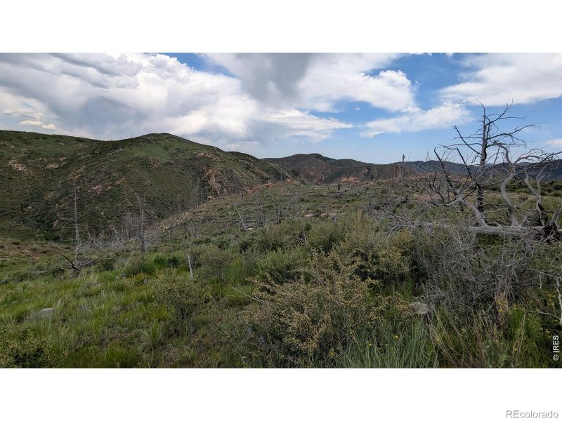 1324 Meadow Mountain Dr, Livermore, CO 80536