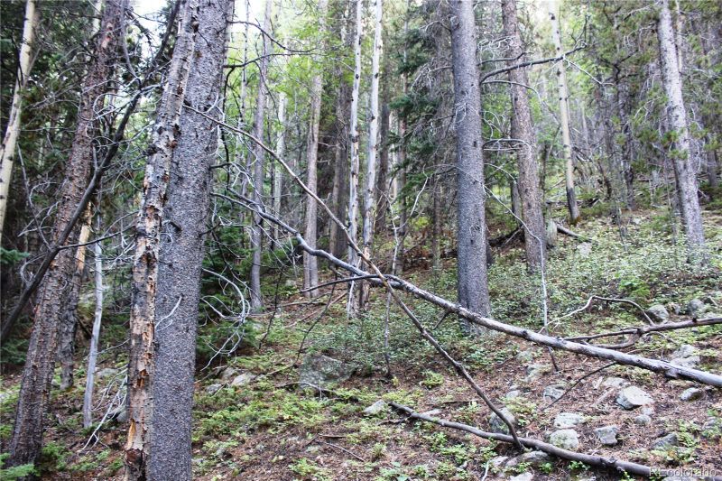5340 Fs 718 1 Lot 5340, Black Hawk, CO 80422