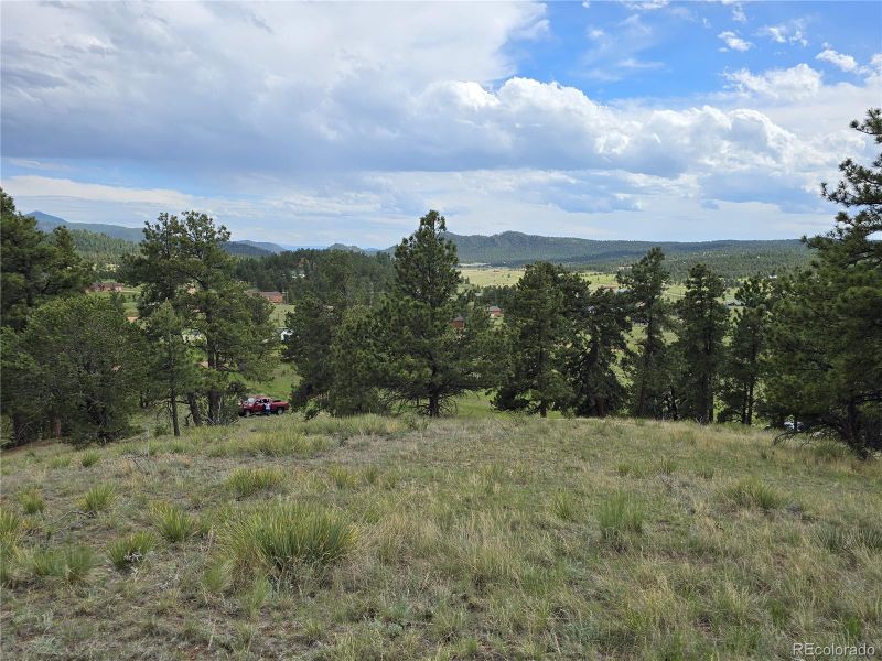 71 Elkhorn Cir, Florissant, CO 80816